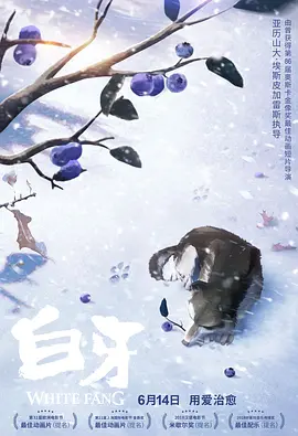 欧美片能看的一级毛片